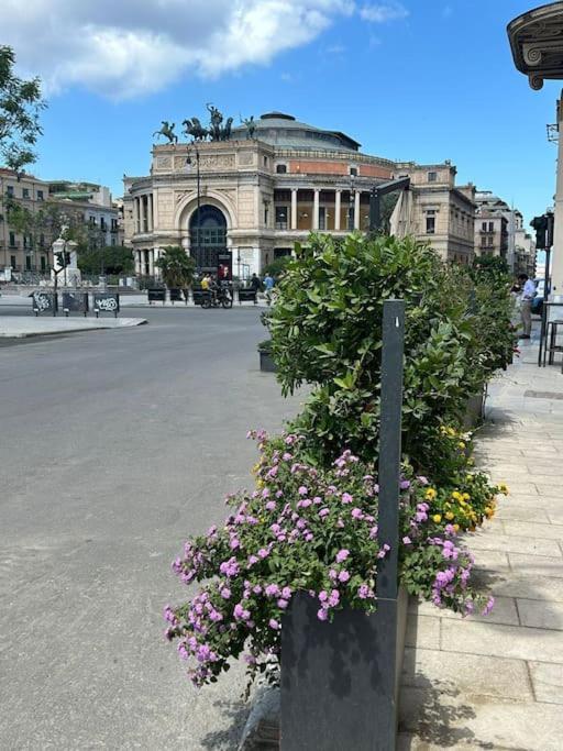 La Casa Di Miti * Palermo
